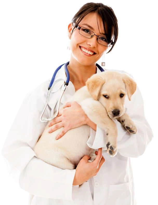 Responsible Pet Owners take their pets to the vet