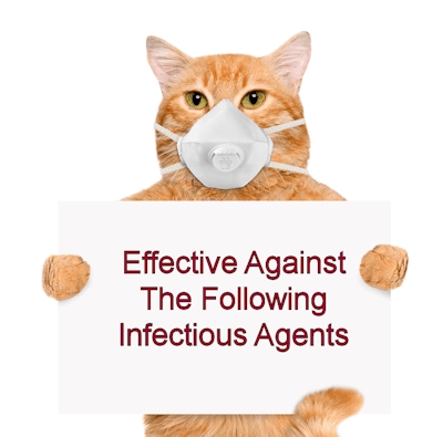Cattery Cleanup protocol Effective Against Infectious Agents