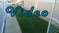 Pet Turf Video
