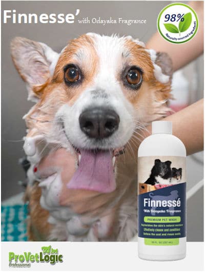 Finnesse Pet Shampoos and Hygiene