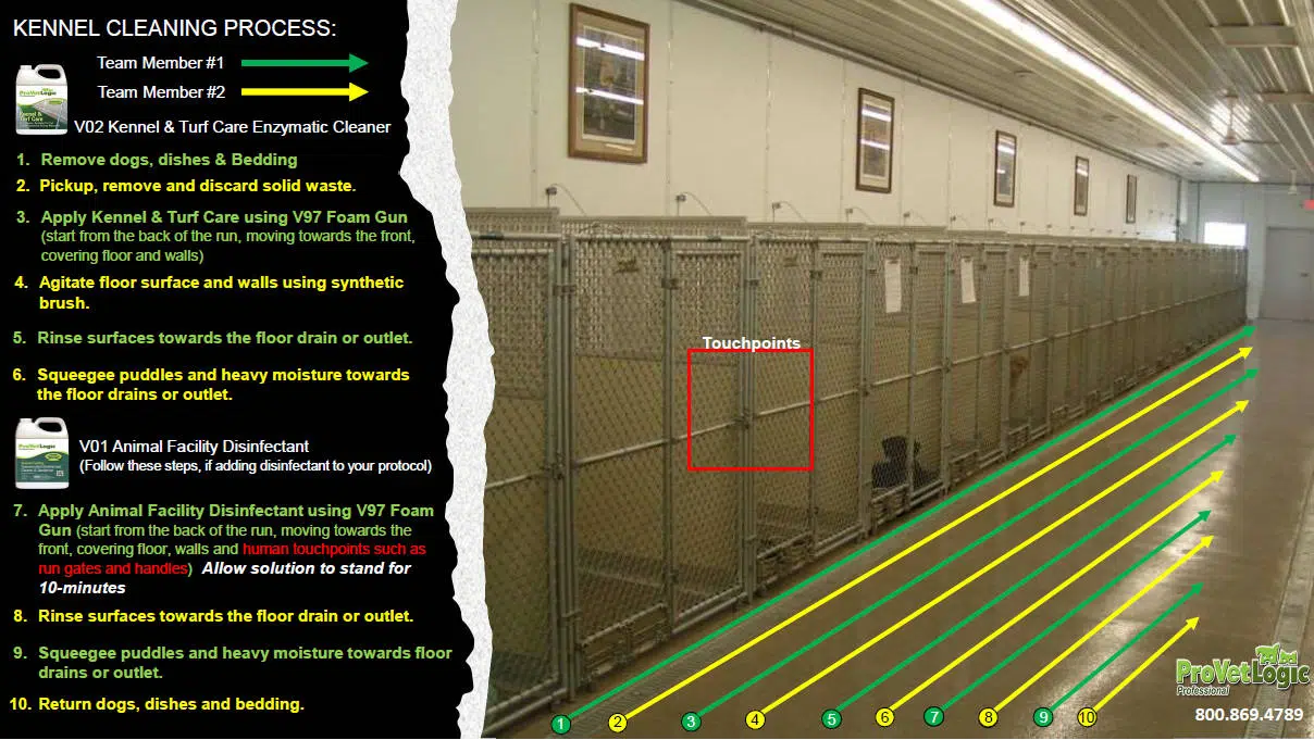 Kennel Cleaning Process for Odor Removal