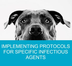 Implementing Protocols for Specific Infectious Agents